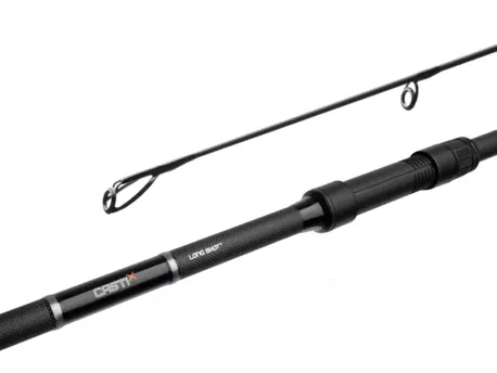 Delphin CASTIX