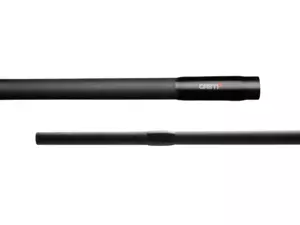 Delphin CASTIX