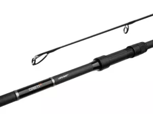 Delphin CASTIX