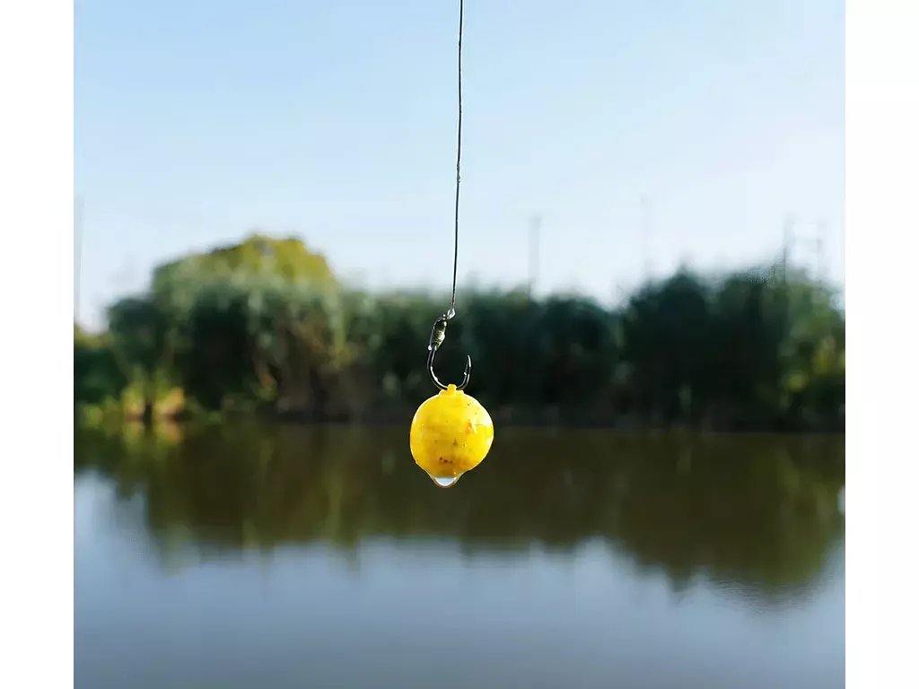CHYTIL Rohlíkový boilies na EKO trnu FLUO 14 mm 35 g