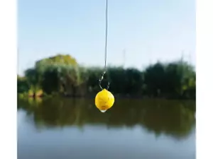 CHYTIL Rohlíkový boilies na EKO trnu FLUO 14 mm 35 g