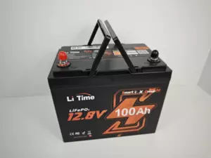LiTime LiFePO4 baterie 12v 100Ah Group24 BLUETOOTH