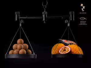 Vyvážené boilies Delphin BreaX/PassionKRILL