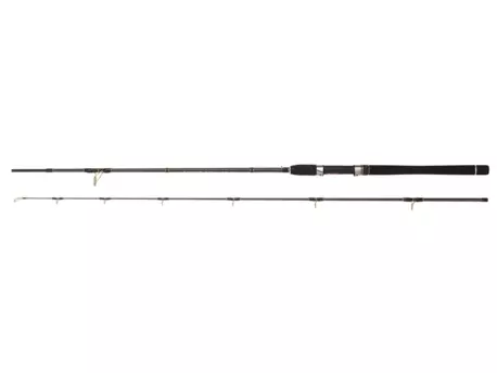 WFT Prut Sea Sparrow Pollack Jigger 2,20 m 20-60 g 2-Díl