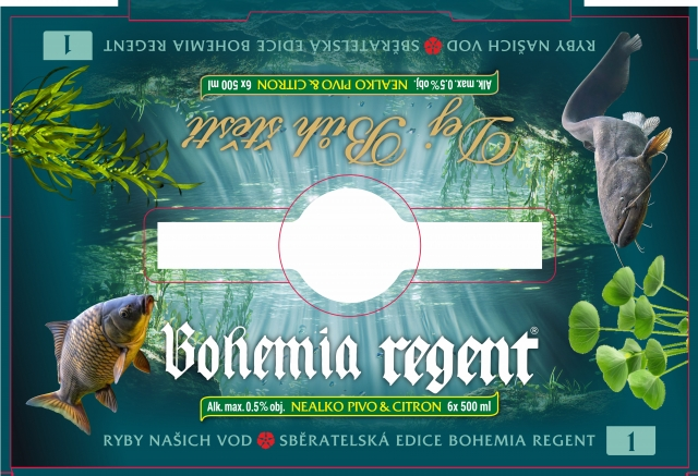 REGENT VODNÍ ŘÍŠE s kaprem č.1- 6X0,5L