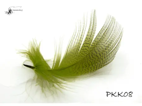 Peří z kapes kačera - Mossy