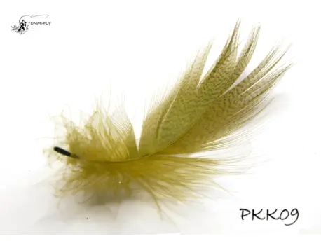 Peří z kapes kačera - Olive