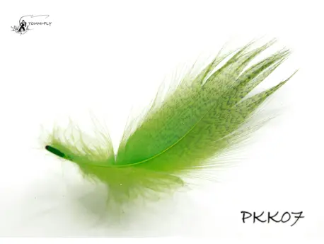 Peří z kapes kačera - Light Green