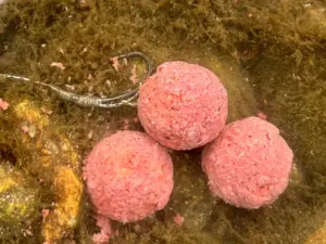 Chytil Krmné boilies - KOŘENĚNÝ TUŇÁK & ČESNEK 5 kg
