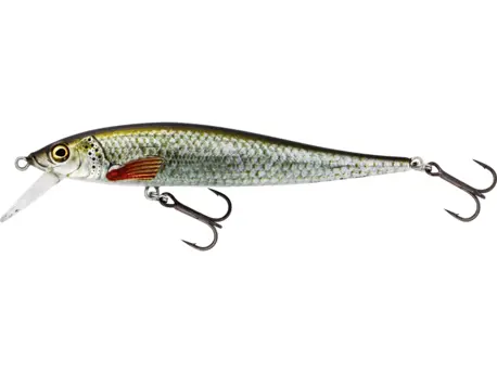 Westin Wobler Jerkbite SR Real Roach