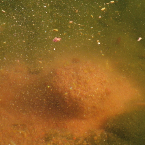 CHYTIL Krmítková směs 1kg