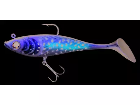 BALZER Colonel Bonito Pstruh