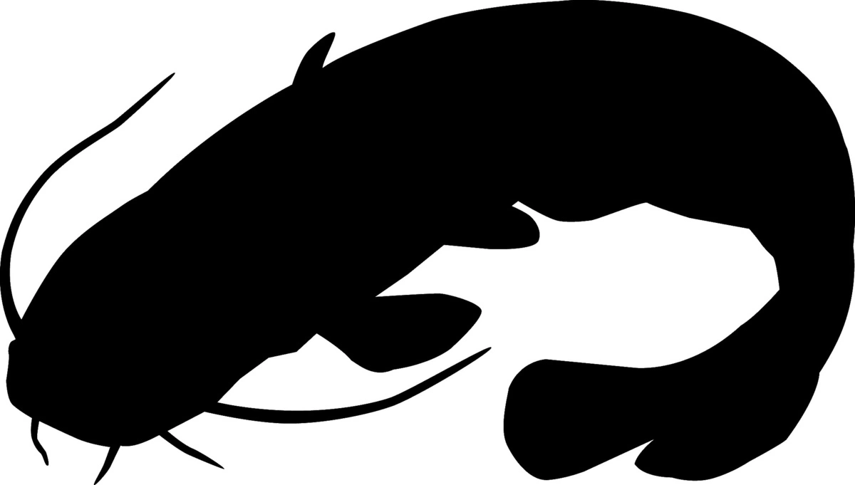 RICHWORTH Samolepky - Ryby sada 12 sladkovodních ryb