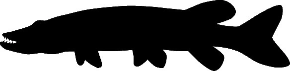 RICHWORTH Samolepky - Ryby sada 12 sladkovodních ryb