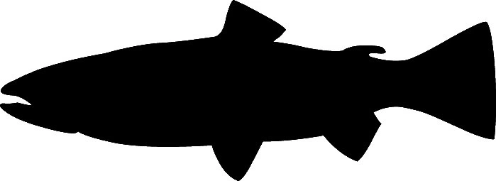 RICHWORTH Samolepky - Ryby sada 12 sladkovodních ryb