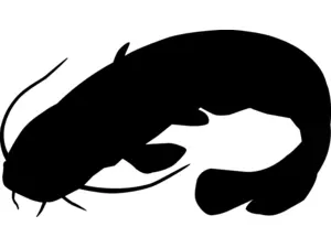 RICHWORTH Samolepky - Ryby sada 12 sladkovodních ryb