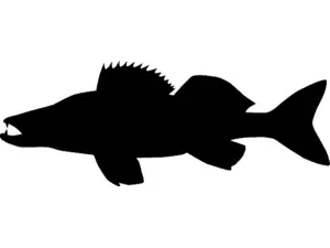 RICHWORTH Samolepky - Ryby sada 12 sladkovodních ryb