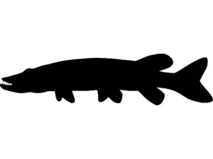 RICHWORTH Samolepky - Ryby sada 12 sladkovodních ryb