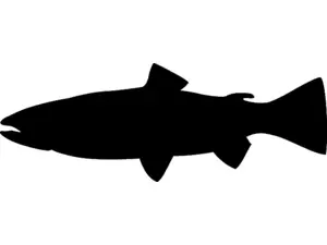 RICHWORTH Samolepky - Ryby sada 12 sladkovodních ryb