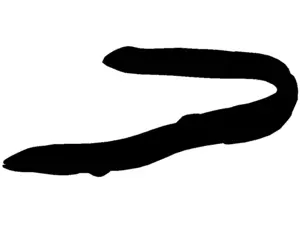 RICHWORTH Samolepky - Ryby sada 12 sladkovodních ryb