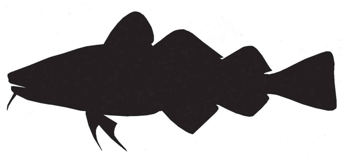 RICHWORTH Samolepky - Ryby sada 8 mořských ryb