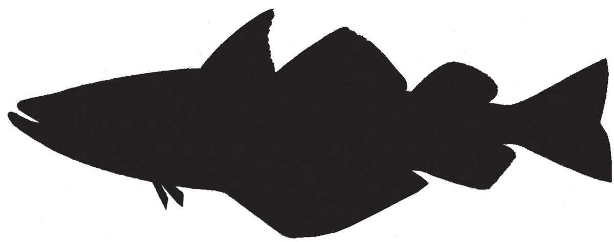 RICHWORTH Samolepky - Ryby sada 8 mořských ryb