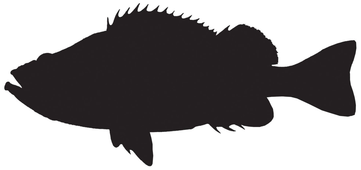 RICHWORTH Samolepky - Ryby sada 8 mořských ryb