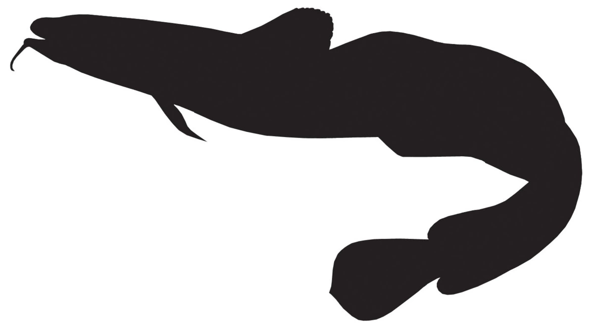 RICHWORTH Samolepky - Ryby sada 8 mořských ryb