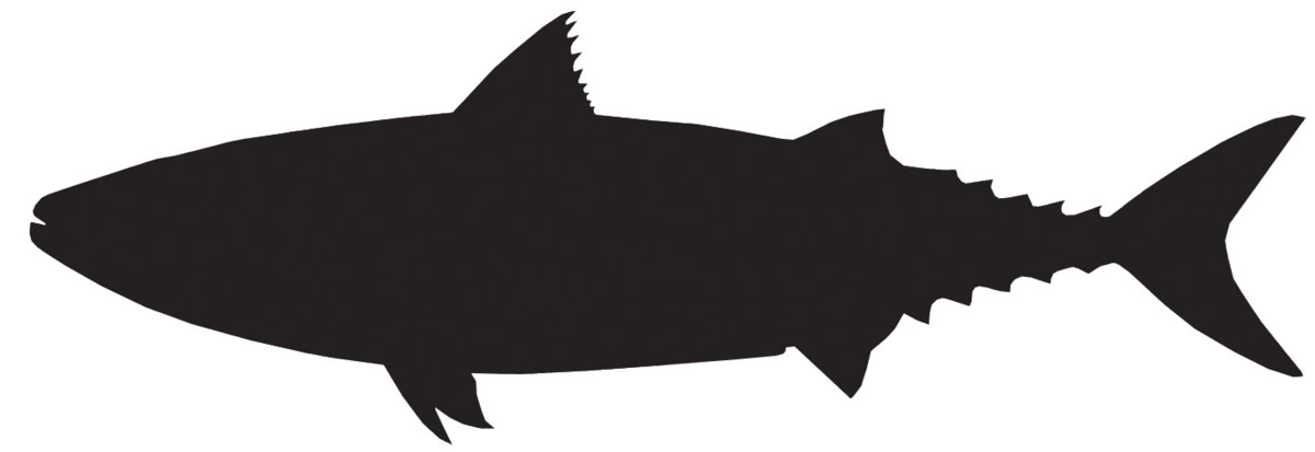 RICHWORTH Samolepky - Ryby sada 8 mořských ryb