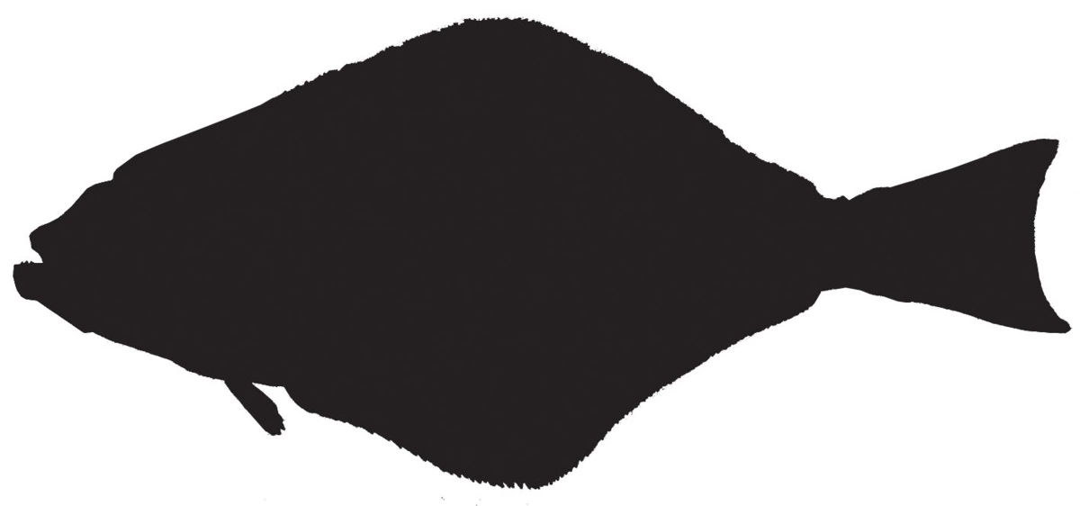 RICHWORTH Samolepky - Ryby sada 8 mořských ryb