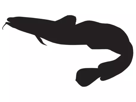 RICHWORTH Samolepky - Ryby sada 8 mořských ryb