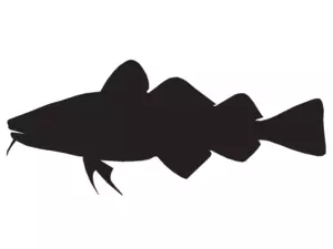 RICHWORTH Samolepky - Ryby sada 8 mořských ryb