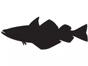 RICHWORTH Samolepky - Ryby sada 8 mořských ryb