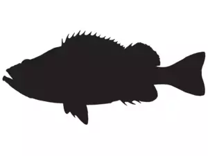 RICHWORTH Samolepky - Ryby sada 8 mořských ryb