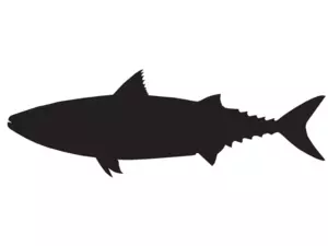 RICHWORTH Samolepky - Ryby sada 8 mořských ryb