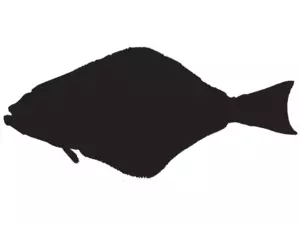 RICHWORTH Samolepky - Ryby sada 8 mořských ryb