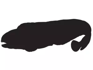 RICHWORTH Samolepky - Ryby sada 8 mořských ryb