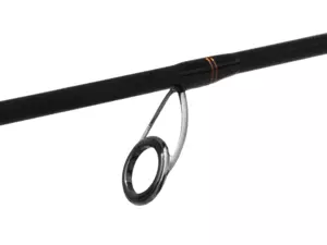 Delphin Wild Spin C.I.T.