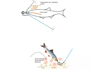 QUANTUM SPECIALIST Dead Bait System