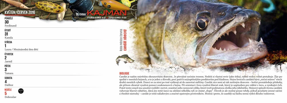 KALENDÁŘ Kajman 2016