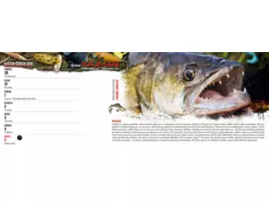 KALENDÁŘ Kajman 2016