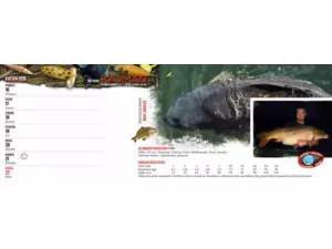 KALENDÁŘ Kajman 2016