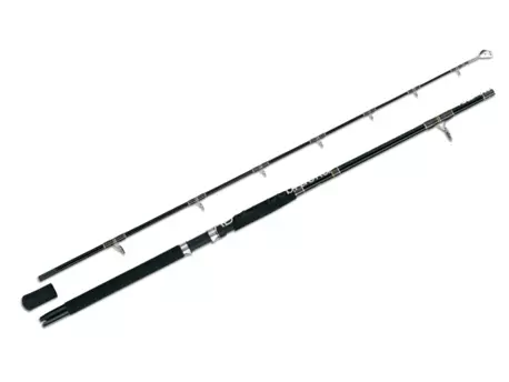 WFT OCEANIC PRO DOWNRIGGER