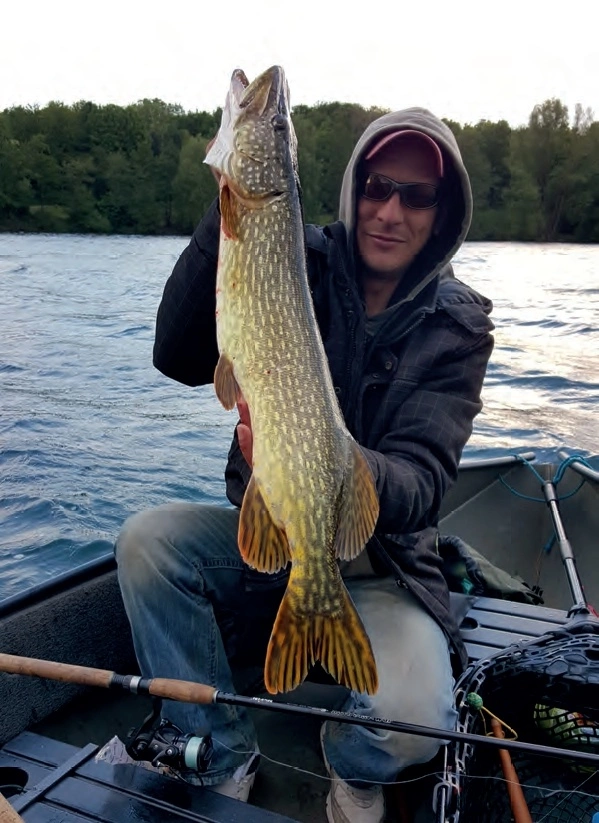 WFT Penzill Classic Wobbler