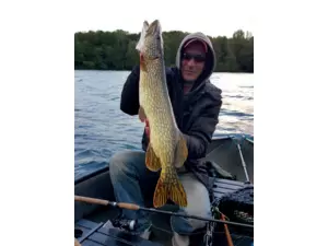 WFT Penzill Classic Wobbler