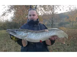 WFT GHOSTRIDER Vertikal Spin