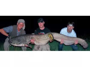 WFT GHOSTRIDER CAT SPIN VÝPRODEJ