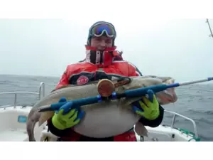 WFT Deep Water
