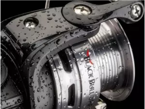 CORMORAN Black Bull 6 Pif