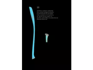 JP sumcová vábnička 10